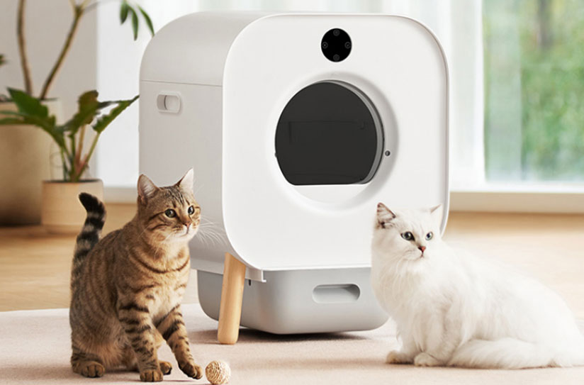 首页 | J9集团有限公司官网